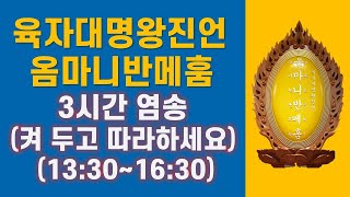 대한불교진각종 유가심인당 새해대서원불공 회향자성일 오후3시간 용맹정진