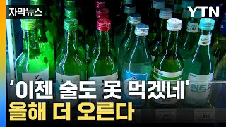 [자막뉴스] 믿었던 소주마저...올해 '술값' 더 오른다 / YTN