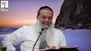 הרב יגאל כהן - הלכות לחיים - שידור חי HD