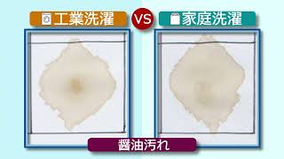 工業洗濯と家庭洗濯の比較動画_2022年9月版