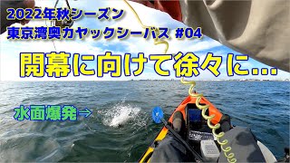 ＜2022年秋シーズン東京湾奥カヤックシーバス#04＞開幕に向けて徐々に...