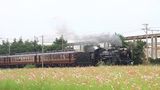 秩父鉄道 パレオエクスプレス 秋景色 2016年10月