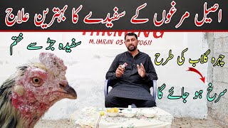 Safeda Ka Ilaj | How To Treat Sufaida | Aseel Murga Ka Safede Ka Ilaj | Open Farming 2.0