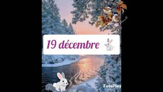 Calendrier de l'avent : J19 ❄️🌲🐇🌲❄️