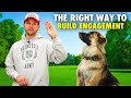 How to train your dog on leash/STOP leash pulling!