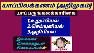 யாப்பிலக்கணம் (அறிமுகம்) |யாப்பருங்கலக் காரிகை | PG TRB Tamil UNIT- 3