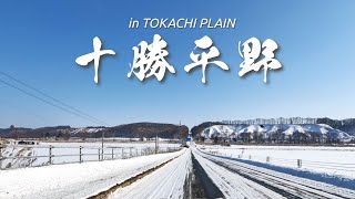 Hokkaido Driving | Pleasant Winter Road Trip in Tokachi Plain, Hokkaido in Japan