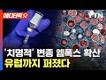 [에디터픽] '더 치명적' 변종 엠폭스 확산에 초비상…아프리카 넘어 유럽까지 / YTN