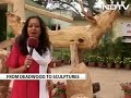 in bengaluru s cubbon park artists resurrect deadwood