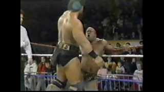 Barbarian vs Saba Simba WWF PTW 1990.mpg