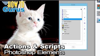 How You Can Use Photoshop Elements Actions and Elements Plus Scripts Plugin Tutorial