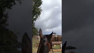 POV: You are a rider at the FEI Eventing World Championships 2022 🤩