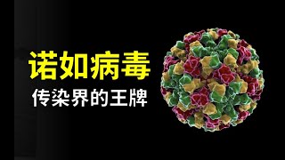 警惕！10粒病毒就能造成感染，诺如病毒有多危险？【奇思诺想】