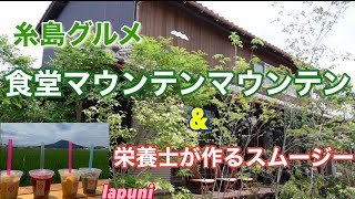 糸島食堂🌱と人気スムージー🍹！！