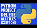 Delete All Files Except One with Python | Safe Folder Cleanup Script Project