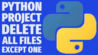 Delete All Files Except One with Python | Safe Folder Cleanup Script Project