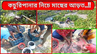 গ্রামের পুকুর সেচে মাছ ধরা | Fishing in Village in BD | Grame Mas Dhorar Poddhoti