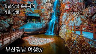 양산 홍룡사의 가을(사진)