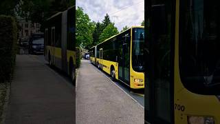 Switzerland Bus go to the city- Thun Bus near Bahnhof🇨🇭 #trending #viral #switzerland  #shorts