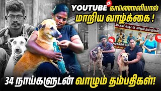 34 நாய்களுடன் வாழும் தம்பதிகள் | Youtube காணொளியால் மாறிய வாழ்க்கை | Jaffna