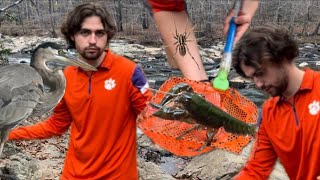 This River I went to had Crawfish fever! #animals #nature #adventure #youtube #fyp #viralvideo #fun