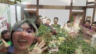 第九屆大專生洄游農村X南臺科技大學X布袋江山社區X江山吾話