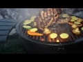 char griller akorn® kamado char griller