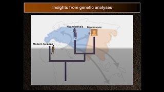 CARTA: Ancient DNA and Human Evolution – Matthias Meyer: The Oldest Human DNA Sequences