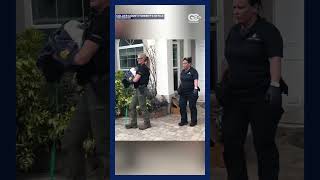 Florida woman arrested in Collier County after deputies remove 50 dogs from residence