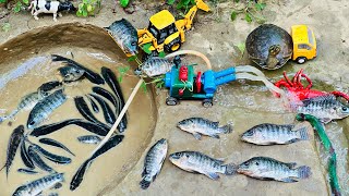 catch fish using mini water pump | fishing exciting | diy tractor ‪@Mini Fish Creator