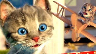 MY LITTLE KITTEN ADVENTURE - LONG SPECIAL CARTOON CAT AND ANIMAL FRIENDS HEED A HOME