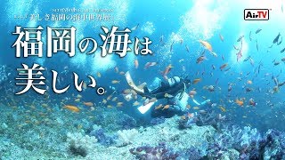 【福岡の海は美しい】水中動画2017/SCUBADIVING AIR