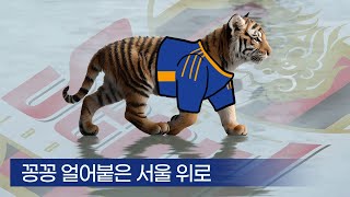 꽁꽁 얼어붙은 서울 위로... 합니다 / 초간단 정리 / FC서울 vs 울산HD