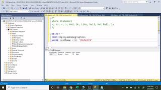 SQL Basics Tutorial For Beginners Where Statement 3 4