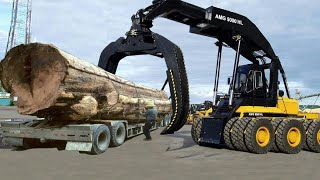 🔴 এই মেশিন গুলোর কাজ দেখলে অবাক হয়ে যাবেন  | Amazing Modern Tree Harvesting Machines & Technology