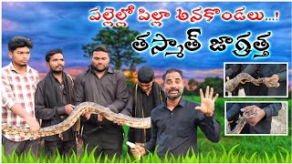 Ooh! what a massive python  in all villages Sagar snake society