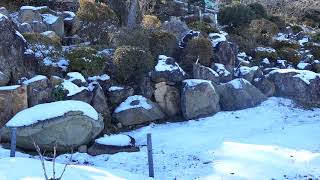 金蛇水神社の新しい外苑　初めての雪景色