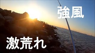 【若洲】強風・小潮・撃沈