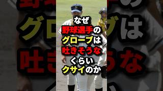 なぜ野球選手のグローブは吐きそうなくらい臭いのか #野球