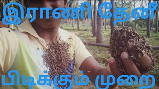 இராணி தேனீ பிடிக்கும் முறை/RANI THENI PEDIKUM MURAI