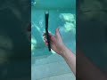 Balisong/Butterfly Knife quickdraw trick tutorial