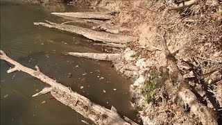 Metal Detecting The Fallen Timbers Of Blank Creek