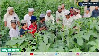 മദ്രസയുടെ മുറ്റത്ത് കൃഷിപ്പാടമൊരുക്കി അധ്യാപകരും കുട്ടികളും  KERALA MADRASA AGRICULTURE STORY