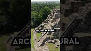 The Rise and Fall of the Mayan Civilization