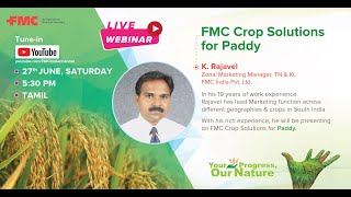 FMC Crop Solutions for Paddy | FMC India