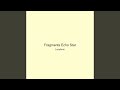 Fragments Echo Star