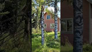 Autiotalo 🏡 Abandoned House #Shorts #Abandoned #Finland