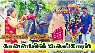 காளையின் அலங்காரம் 💫காளையின் காதலி 😘 @machakala7860 #youtube #jallikattu #kaalai