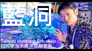 跟白同學去買海水魚【嘉義藍洞～魚店】Taiwan seawater fish shop 白同學海水魚不定期更新