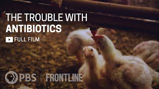 The Trouble with Antibiotics (full documentary) | FRONTLINE